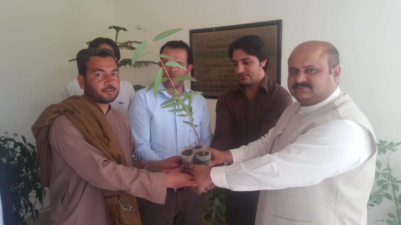 Tree plantation in all BHUs of District Pishin
